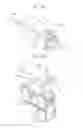 Fig. 10 - Communication visualization system