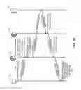 Fig. 05 - Scalable MAC address virtualization