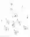 Fig. 02 - Automatic translator identification
