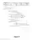 Fig. 04 - Selective proxying in domain name systems