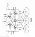Fig. 10 - Global VLAN services