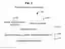 Fig. 03 - SYSTEMS, APPARATUS, AND METHODS FOR PRIVATE COMMUNICATION