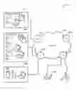 Fig. 01 - Zero day threat detection based on fast flux detection and aggregation