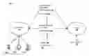 Fig. 01 - Web redirection for content scanning