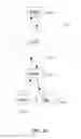 Fig. 16 - Highly scalable architecture for application network appliances