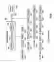 Fig. 56 - Highly scalable architecture for application network appliances