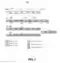 Fig. 09 - Content format conversion verification