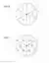 Fig. 06 - Imaging apparatus and analyzing apparatus