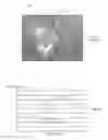 Fig. 02 - Depth-segmenting peak tracking autofocus