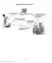 Fig. 15 - Systems and devices for encrypting, converting and interacting with medical images