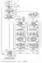 Fig. 13 - Characteristic image display apparatus