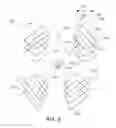 Fig. 05 - Distortion correcting sensors for diagonal collection of oblique imagery