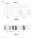 Fig. 07 - Reconstruction of images from an in vivo multi-camera capsule