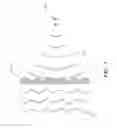 Fig. 02 - Image and wave field projection through diffusive media