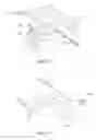 Fig. 17 - Image and wave field projection through diffusive media