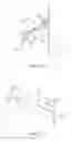 Fig. 22 - Image and wave field projection through diffusive media