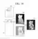 Fig. 11 - Photography apparatus and method thereof