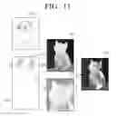 Fig. 12 - Photography apparatus and method thereof