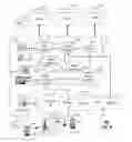 Fig. 07 - Sharing mobile subscriber content in a publically viewable content distribution network
