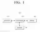 Fig. 02 - DISPLAY APPARATUS AND CONTROLLING METHOD FOR PROVIDING SERVICES BASED ON USER'S INTENT