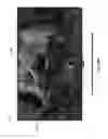 Fig. 22 - Content-sensitive user interface for an intelligent television