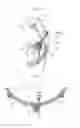 Fig. 07 - Microphone holder
