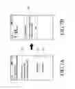Fig. 07 - Electronic device and network temporary unlocking method thereof