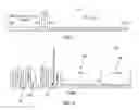 Fig. 06 - Apparatus, method, and computer readable medium for high-efficiency wireless local-area network (HEW) signal field detection