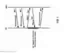 Fig. 08 - Sounding reference signal transmission in a wireless network