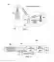 Fig. 02 - System and method for multiple carrier transmission