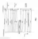 Fig. 06 - Dynamic aggregation for coexistence between wireless transceivers of a host device