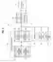 Fig. 02 - Method for transmitting and receiving frame in wireless local area network and apparatus for the same