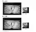Fig. 25 - Flexible display device having first and second display panels overlapping each other and light transmitting layer therebetween