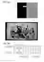 Fig. 31 - Flexible display device having first and second display panels overlapping each other and light transmitting layer therebetween
