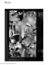 Fig. 32 - Flexible display device having first and second display panels overlapping each other and light transmitting layer therebetween