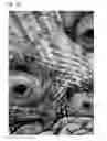 Fig. 33 - Flexible display device having first and second display panels overlapping each other and light transmitting layer therebetween