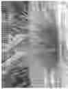 Fig. 02 - Lavandula x intermedia 'Bridget Chloe'