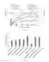 Fig. 13 - ARTIFICIAL ENVIRONMENT FOR EFFICIENT UPTATE OF FERTILIZERS AND OTHER AGROCHEMICALS IN SOIL
