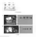 Fig. 18 - ARTIFICIAL ENVIRONMENT FOR EFFICIENT UPTATE OF FERTILIZERS AND OTHER AGROCHEMICALS IN SOIL