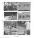 Fig. 20 - ARTIFICIAL ENVIRONMENT FOR EFFICIENT UPTATE OF FERTILIZERS AND OTHER AGROCHEMICALS IN SOIL