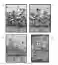 Fig. 29 - ARTIFICIAL ENVIRONMENT FOR EFFICIENT UPTATE OF FERTILIZERS AND OTHER AGROCHEMICALS IN SOIL