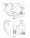 Fig. 10 - Closed loop compost tea brewer