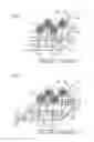 Fig. 02 - HYDROPONIC APPARATUS AND HYDROPONIC METHOD