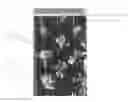 Fig. 01 - Vertically oriented collapsible hydroponic plant production apparatus