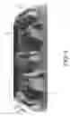 Fig. 10 - Vertically oriented collapsible hydroponic plant production apparatus