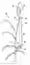 Fig. 01 - Apparatus and method for delivering pollen for directed pollination of plants