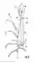 Fig. 04 - Apparatus and method for delivering pollen for directed pollination of plants