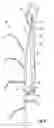 Fig. 05 - Apparatus and method for delivering pollen for directed pollination of plants