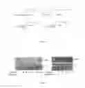 Fig. 02 - Compositions and methods for modulating immunity in plants