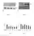 Fig. 03 - Compositions and methods for modulating immunity in plants